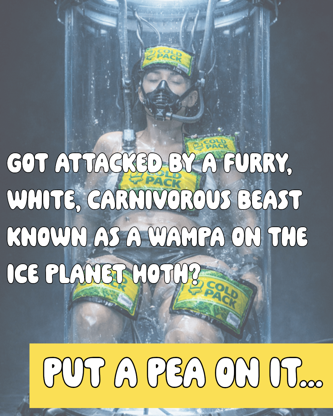 Chill Peas – Reusable Hot-Cold Pack