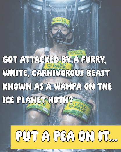 Chill Peas – Reusable Hot-Cold Pack